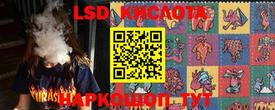 мдпв Новодвинск