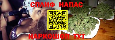PSILOCYBIN Новокубанск