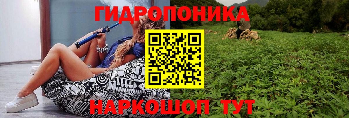 Копейск  Каннабис конопля  Марихуана THC 21%  Каннабис план  Шишки марихуана AK-47  Вход с VPN 